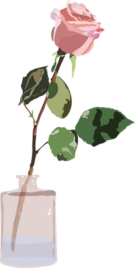 Image of a rose in a vase
